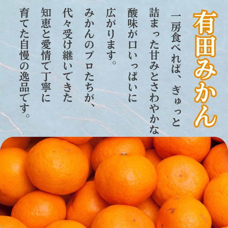 【ふるさと納税】 極プレミアム 有田 みかん 定期便 【全3回】 / 温州みかん 有田みかん 甘い 厳選 高級 和歌山 有田 1kg 5kg 10kg ※北海道・沖縄・離島への配送不可 //teiki