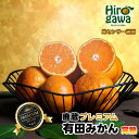 【ふるさと納税】 鹿蔵の 有田 みかん プレミアム 光センサー 選果 / 温州みかん 有田みかん 甘い 高級 厳選 和歌山 柑橘 お試し 送料無料 5kg 10kg 6000円 9000円 ※11月中旬~1月下旬に順次発送 ※北海道・沖縄・離島への配送不可 //mandarin