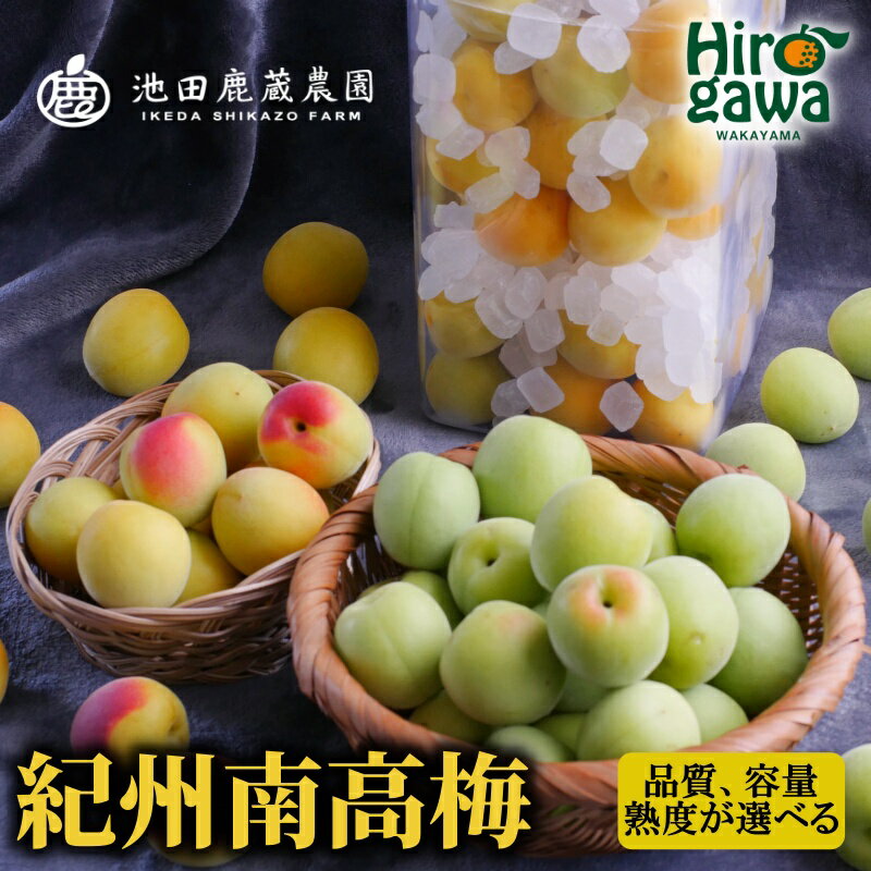 【ふるさと納税】 南高梅 青梅 黄梅 冷凍梅 梅シロップキット / 梅 梅シロップ 梅酒 梅干し 和歌山 紀州 1kg 2kg 5000円 〜※北海道・沖縄・離...