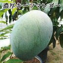 【ふるさと納税】 濃厚 キーツ マンゴー ≪ 夏秋の美味 希少マンゴー ≫ ※2025年9月下旬~2025年10月下旬に順次発送 / 農家直送 産直 果物 フルーツ 果実 くだもの 和歌山 //hokaf(4)