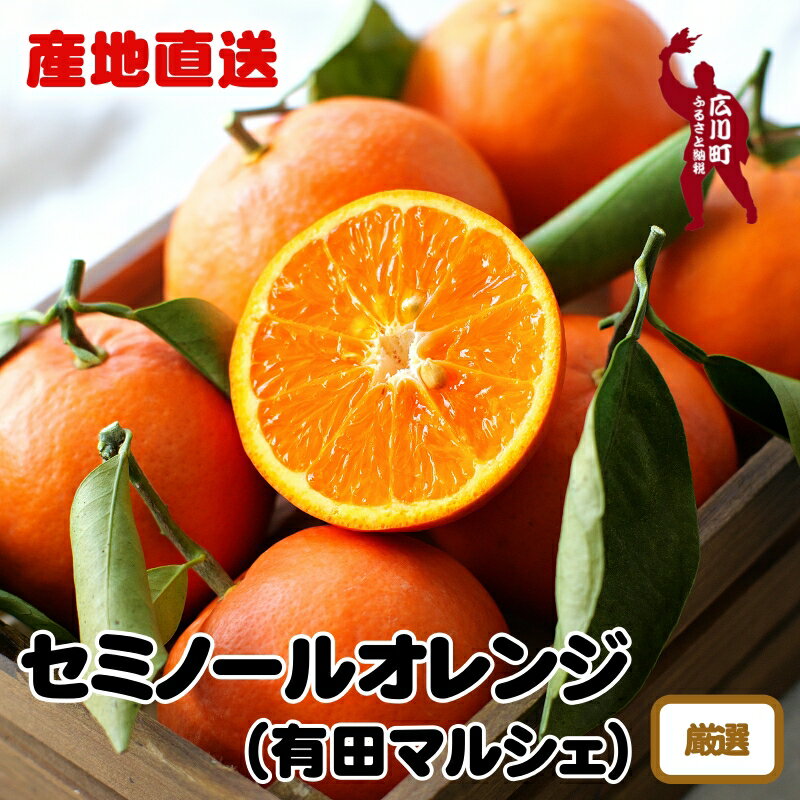 厳選 有田育ちの爽快セミノールオレンジ※2025年4月上旬～4月下旬頃順次発送予定 ※北海道・沖縄・その他離島地域は発送不可 / みかん くだもの 果実 晩柑 蜜柑 柑橘 果物 フルーツ 国産 和歌山県有田 //hassaku