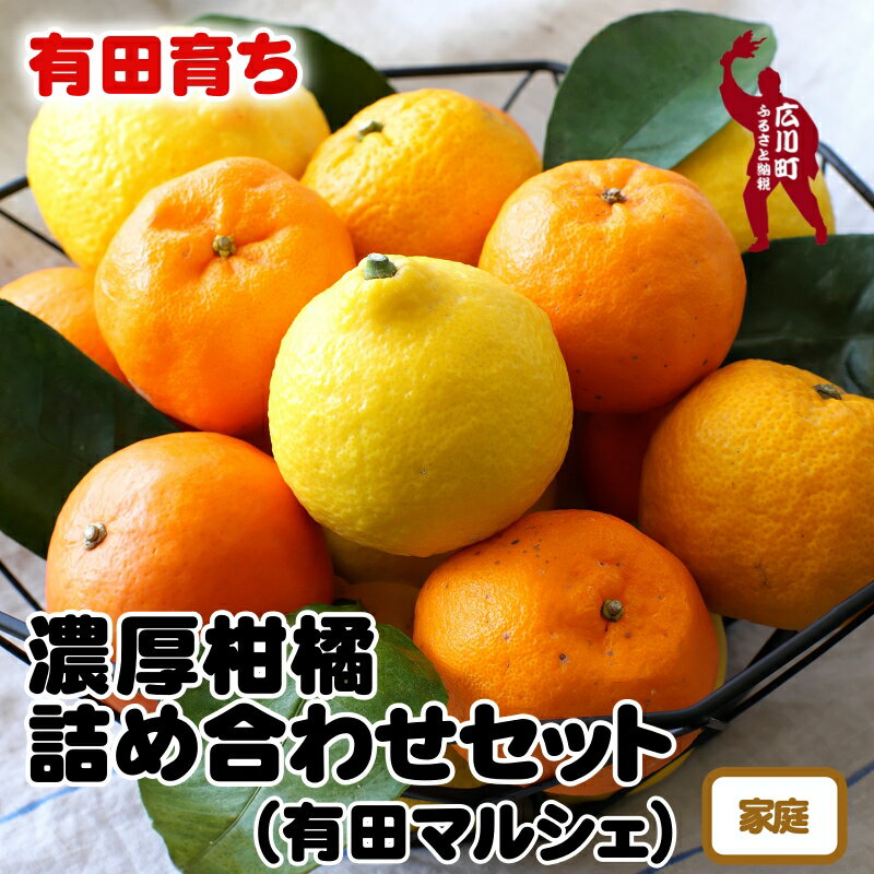 【ふるさと納税】【先行予約】有田育ちの旬の柑橘詰め合わせセッ