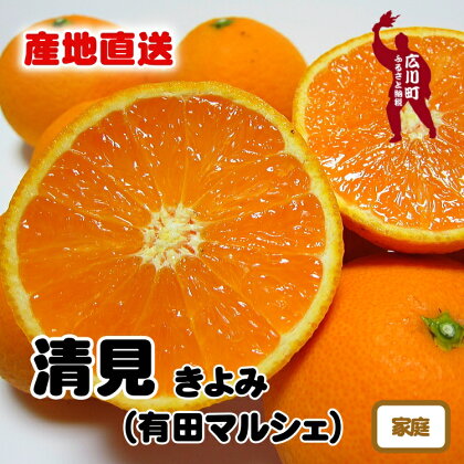 【先行予約】【産地直送】有田 育ちの ご家庭用 完熟 清見 オレンジ ※2024年2月下旬～3月下旬頃に順次発送予定 ※北海道・沖縄・その他離島地域は発送不可 / みかん 和歌山 有田 オレンジ フルーツ 果物 甘い //dekopon