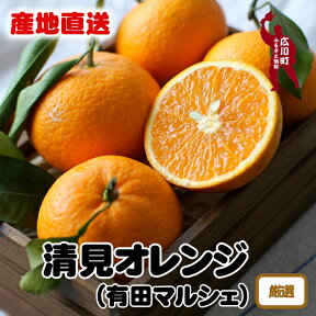 【ふるさと納税】【産地直送】厳選 完熟 清見 オレンジ ※2024年3月上旬～3月下旬頃に順次発送予定 ※北海道・沖縄・その他離島地域は発送不可 / みかん くだもの きよみ 清見 果実 蜜柑 晩柑 柑橘 果物 フルーツ 国産 和歌山県 有田 //dekopon