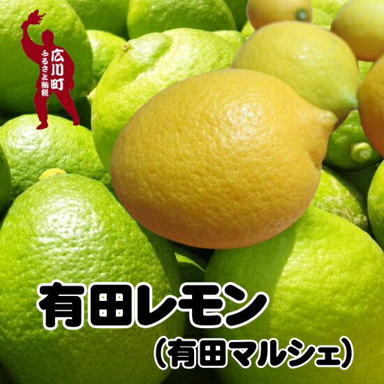 柑橘類の栽培が盛んな有田みかんのふるさと和歌山有田地方で栽培されているレモンは爽やかな酸味、有田産ならではのとってもやさしい香りが特徴です。 ノーワックス、防腐剤も不使用。皮まで安心してご使用できます。 レモンの香り、風味を損なわれないよう手選別でのお届けです。 塩レモンや、レモネード、レモンのはちみつ漬けなどの加工にも最適です。 ※生育状況などによりお届け時期が前後する場合がございます。 ※国産レモンは収穫時期により色が変化します。9月末頃から年末ごろまでグリーンレモン。(年末にかけて緑色が薄くなってきます）年明けから春にかけて黄色いレモンに徐々に色が変化していきます。 ※到着後は涼しいところに保管頂き、できるだけお早めにお召し上がりください。 商品説明 名称 紀州和歌山有田レモン 内容量 ・1kg（サイズおまかせ） ・2kg（サイズおまかせ） ・3kg（サイズおまかせ） ※お選びください 産地名 和歌山県有田産 消費期限 約1週間 生ものですので出来るだけお早めにお召し上がりください。 保存方法 お礼品到着後は段ボールからすぐに取り出し、冷蔵庫などの冷暗所で保存してください。 申込期間 2024/4/1～2025/1/31 発送時期 2024年10月上旬～2025年1月下旬順次発送予定 提供元 株式会社有田マルシェ ・寄附申込みのキャンセル、返礼品の変更・返品はできません。あらかじめご了承ください。 ・ふるさと納税よくある質問はこちら