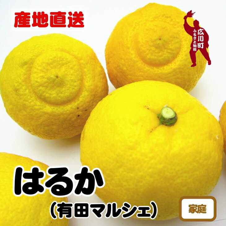 【ふるさと納税】【人気柑橘】有田育ちの はるか みかん（訳あり 家庭用） ※2025年1月下旬～2月下旬頃に順次発送予定 ※北海道・沖縄・その他離島地域は発送不可 //dekopon