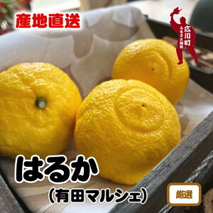 【ふるさと納税】【先行予約】【人気柑橘】厳選 はるか みかん ※2025年1月下旬～2月下旬頃に順次発送予定 ※北海道・沖縄・その他離島地域は発送不可 / みかん 蜜柑 柑橘 果物 フルーツ くだもの 果実 国産 和歌山県 晩柑 //dekopon