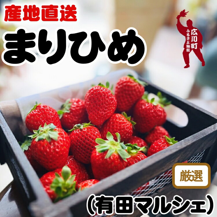 朝摘み 完熟 まりひめ いちご 600g 1200g 和歌山ブランド苺 / フルーツ 果物 くだもの 果実 和歌山 有田 ※2026年1月上旬〜2026年3月下旬頃に順次発送 ※北海道、沖縄、離島配送不可 //hokaf