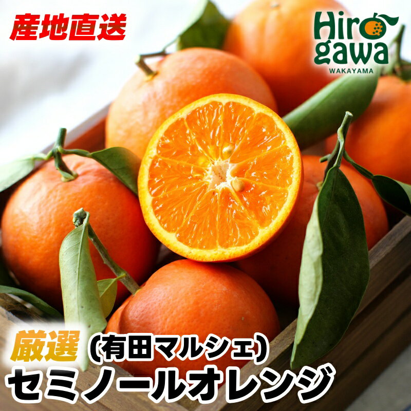 【ふるさと納税】【先行予約】厳選 有田育ちの爽快セミノールオレンジ※4月上旬~5月下旬頃順次発送予定 ※北海道・沖縄・その他離島地域は発送不可 / みかん くだもの 果実 晩柑 蜜柑 柑橘 果物 フルーツ 国産 和歌山県有田 //hassaku