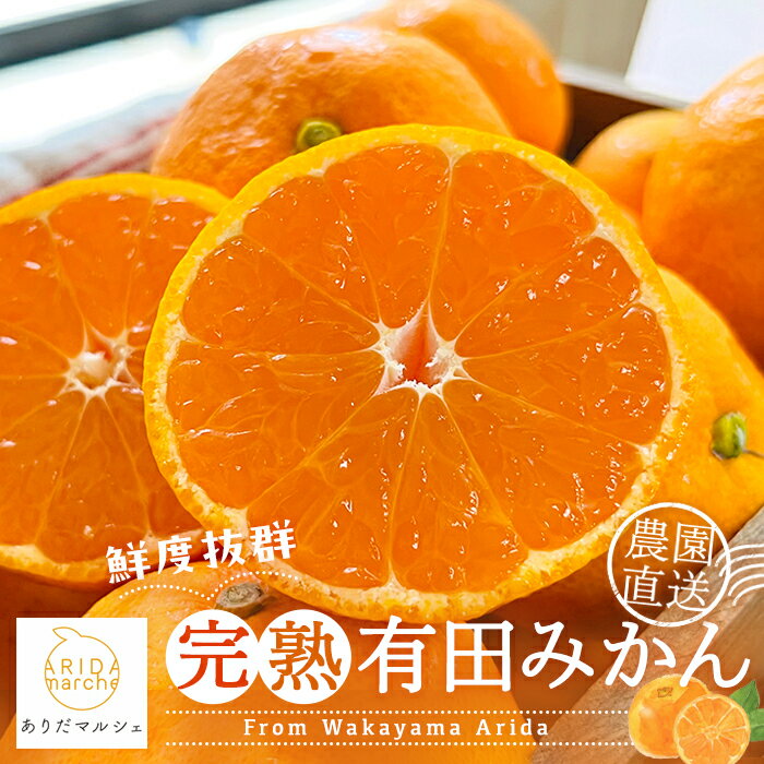 【ふるさと納税】＜先行予約＞※202