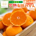 【ふるさと納税】 有田育ちの ご家庭用 完熟 有田みかん 選べる発送月、内容量 農家直送 わけあり 訳あり ※2025年10月〜2026年1月に順次発送予定 /...