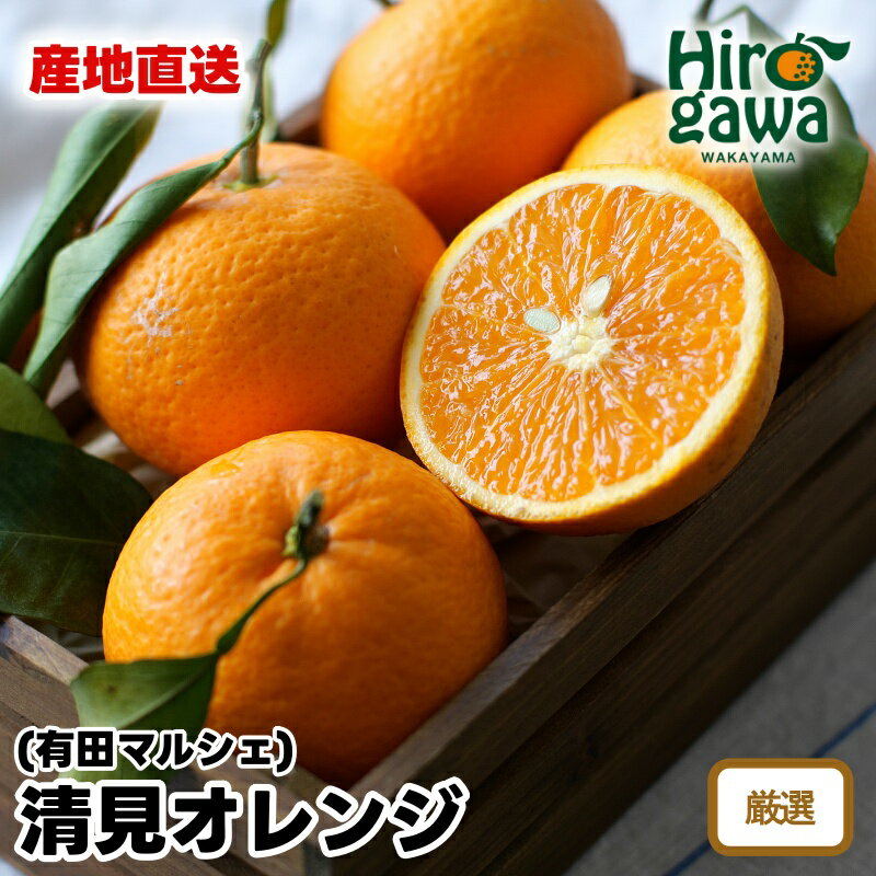 【ふるさと納税】【先行予約】 産地直送 特選 完熟 清見 オレンジ ※2026年2月下旬~2026年3月下旬に順次発送 ※北海道・沖縄・その他離島地域は発送不可 / みかん くだもの きよみ 清見 果実 蜜柑 柑橘 果物 フルーツ 国産 和歌山県 有田 //dekopon