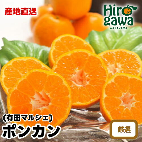 【ふるさと納税】【先行予約】 極甘柑橘 特選 濃厚 ポンカン ※2026年1月上旬~2026年2月下旬に順次発送 ※北海道・沖縄・その他離島地域は発送不可 / みかん 蜜柑 柑橘 果物 フルーツ くだもの 果実 国産 和歌山県 晩柑 //dekopon