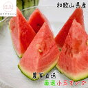 【ふるさと納税】 【 厳選 】 小玉 スイカ (旬の品種)Mサイズ【農家直送】【大人気】【和歌山県産】 ※2026年6月上旬~6月下旬に順次発送 ※北海道・沖縄・離島地域は発送不可 //vegi
