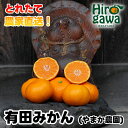 【ふるさと納税】 有田みかん 2kg 5kg 10kg 小玉 M・Lサイズ 大玉 6000円 10000円 ※12月上旬〜翌年1月上旬頃順次発送予定 / 温州み...