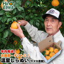 【ふるさと納税】 【12月発送】 温室 不知火 ( しらぬい ) / デコポン ハウス栽培 甘い 和歌山 柑橘 お歳暮 3kg 8000円 ※11月下旬~12月下旬に順次発送 //mandarin