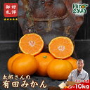 【ふるさと納税】 有田みかん 選べる (小玉 MLサイズ 大玉 ) / 有田 みかん 温州みかん 甘い 小粒 和歌山 柑橘 2kg 5kg 10kg 6000円...