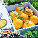 【ふるさと納税】 不知火 ハウス栽培 / しらぬい デコポン 甘い 和歌山 柑橘 贈答 歳暮 3kg 8000円 ※11月下旬〜12/25頃までに順次発送 (年...