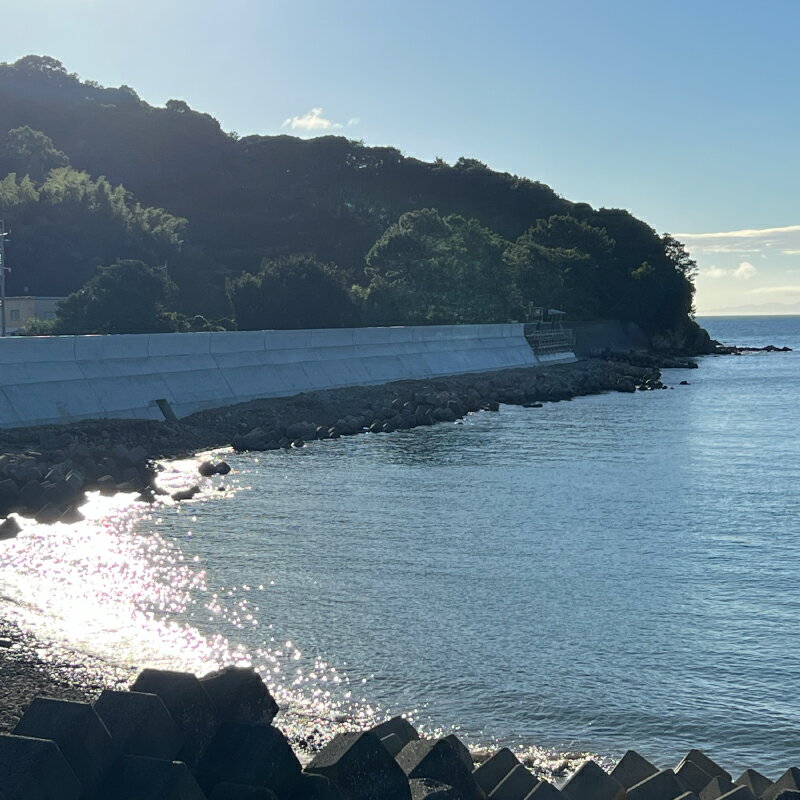 【ふるさと納税】「干物屋さんが真心込めて作った』 秋鮭 照り焼き 【18切】 / 和歌山 広川町 魚 しゃけ シャケ さけ サケ 鮭 焼き魚 便利 簡単 調理 時短 おかず 弁当 冷凍 真空 ストック //fish