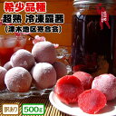 【ふるさと納税】【希少品種】 超熟 冷凍露茜 (訳あり) 500g レシピ付き / 青梅 幻の果実 希少 新種の果実 梅 すもも 冷凍梅 完熟 コンポート ペー...