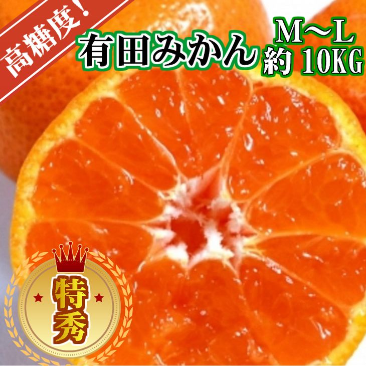 【ふるさと納税】高糖度 有田みかん 特秀品 10kg M～Lサイズ ※2024年10月上旬～12月下旬頃発送予定 / みかん 温州 柑橘 蜜柑 くだもの 果物 果実 フルーツ 和歌山 有田 //mandarin