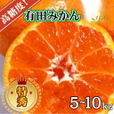 【ふるさと納税】 高糖度 有田みかん 特秀品 ※10月上旬~12月下旬頃発送予定 / みかん 温州 柑橘 蜜柑 くだもの 果物 果実 フルーツ 和歌山 有田(4)
