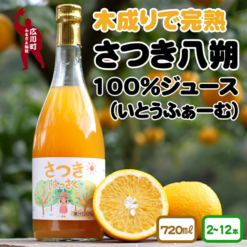 超希少!越冬4月収穫の八朔「さつき八朔」100% ストレートジュース ※2024年4月下旬頃より順次発送予定 / ジュース はっさく 八朔 ストレートジュース 和歌山 有田 //drink