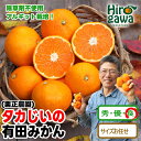 【ふるさと納税】 タカじいの 有田 みかん (良品 サイズ混合 or 大玉) / 温州みかん 有田みかん 甘い 家庭用 和歌山 柑橘 3kg 5kg 10kg ...