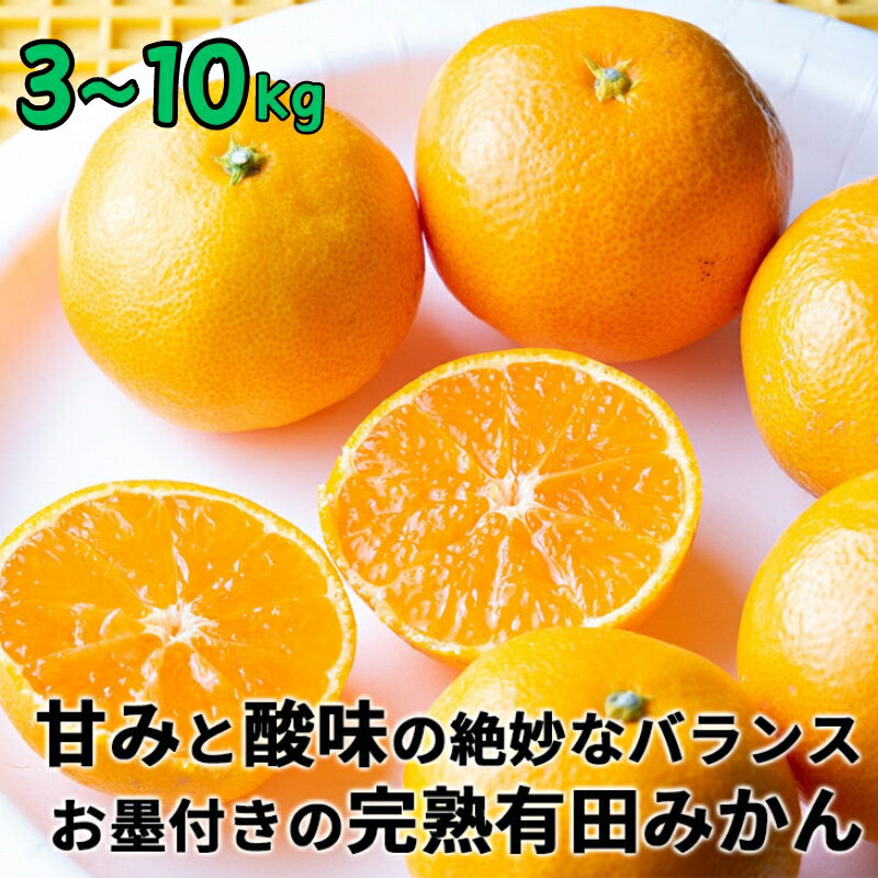 【樹上完熟】和歌山県産 有田みかん (S・M・Lのいずれか) ※2024年11月中旬〜2025年1月中旬頃に順次発送予定 / ミカン 蜜柑 柑橘 果物 フルーツ 国産 和歌山県 有田 //mandarin