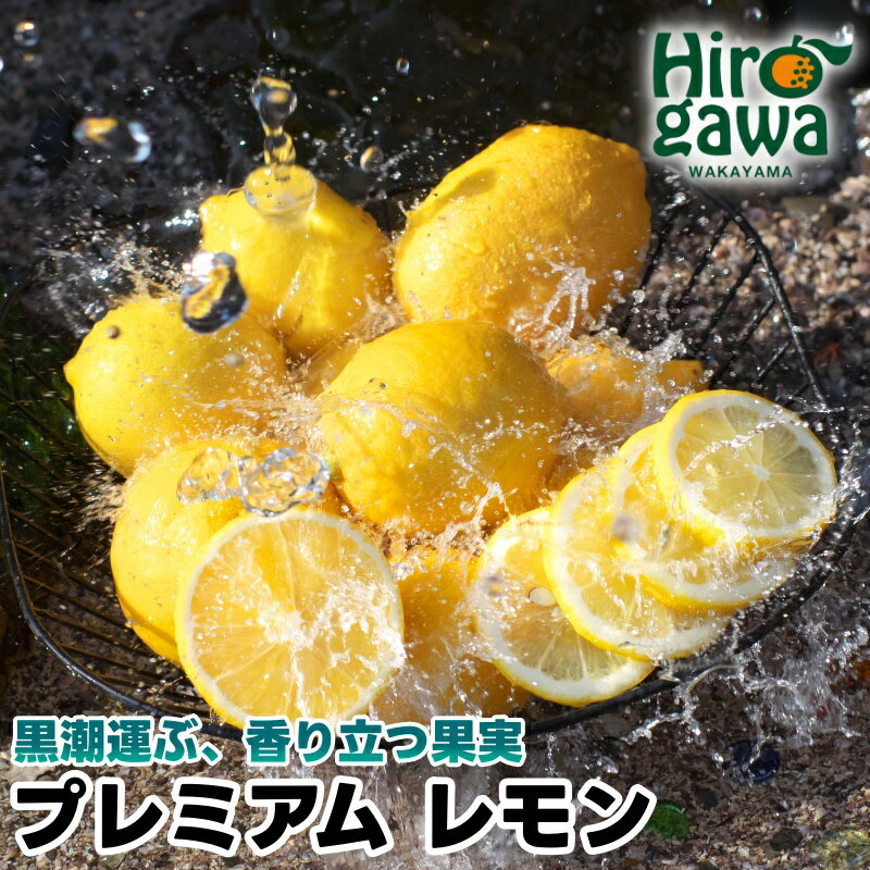 【ふるさと納税】 レモン 有田プレミアム 2kg 5kg ※2026年3月上旬〜2026年4月下旬に順次発送 // 檸檬 国産レモン 国産檸檬 はちみつレモン ...