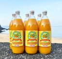 11位! 口コミ数「0件」評価「0」 和歌山有田産100%温州みかんジュース 970ml セット / みかん ジュース 有田みかん フルーツ ドリンク //drink