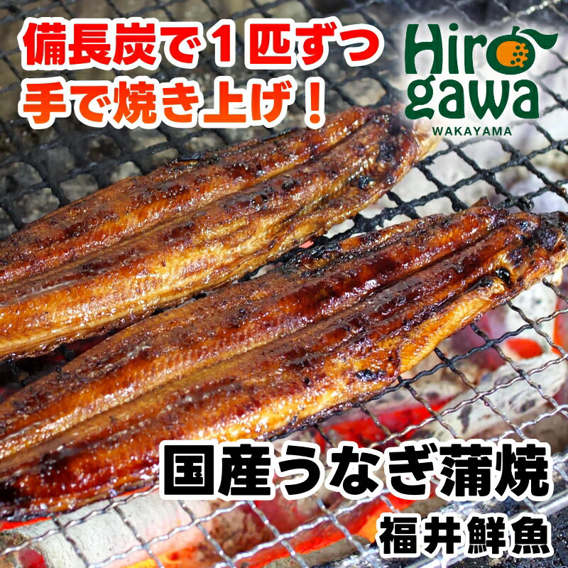 うなぎ 蒲焼き ( 国産 ) 紀州備長炭 焼き上げ / 鰻 国産うなぎ うなぎ蒲焼き うな丼 うな重 //fish