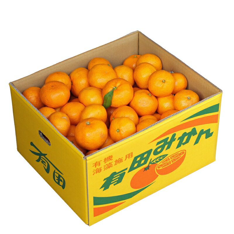 【ふるさと納税】 有田みかん 5kg 10kg 11000円 16000円 海藻施用 手選果 ※11月中旬から1月下旬頃に順次発送 / 温州みかん みかん 柑橘 くだもの 果物 果実 フルーツ 和歌山 紀州 有田 //mandarin