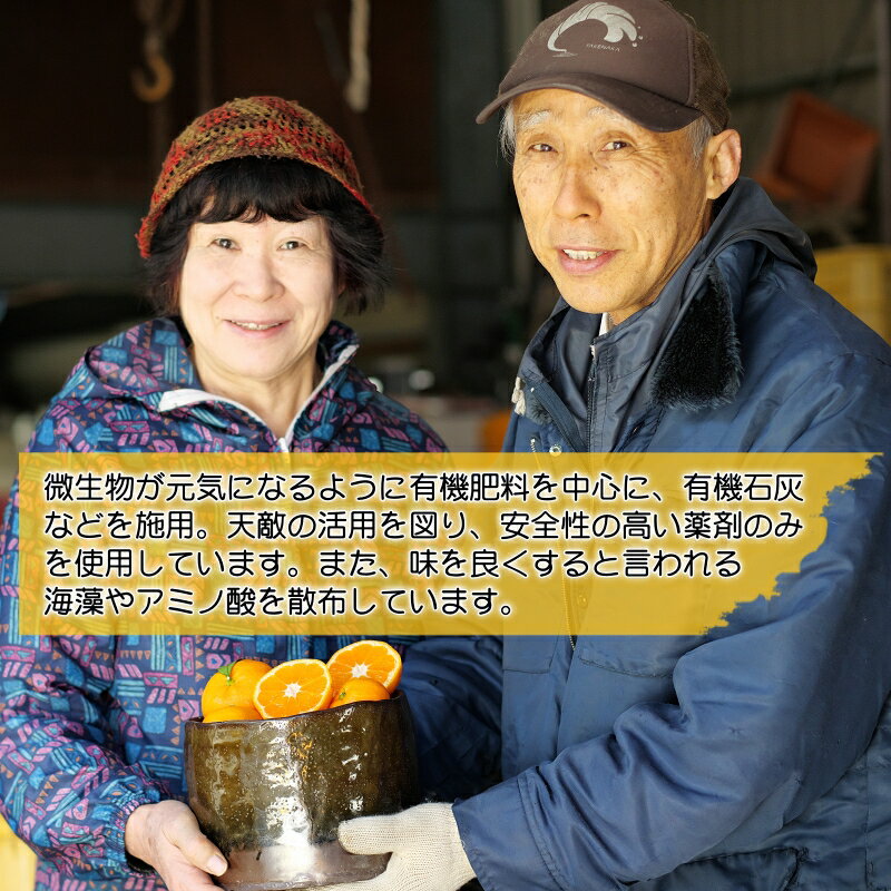 【ふるさと納税】 有田みかん 5kg 10kg 11000円 16000円 海藻施用 手選果 ※11月中旬から1月下旬頃に順次発送 / 温州みかん みかん 柑橘 くだもの 果物 果実 フルーツ 和歌山 紀州 有田 //mandarin
