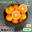 【ふるさと納税】 有田みかん 5kg 10kg 11000円 16000円 海藻施用 手選果 ※11月中旬から1月下旬頃に順次発送 / 温州みかん みかん 柑橘...