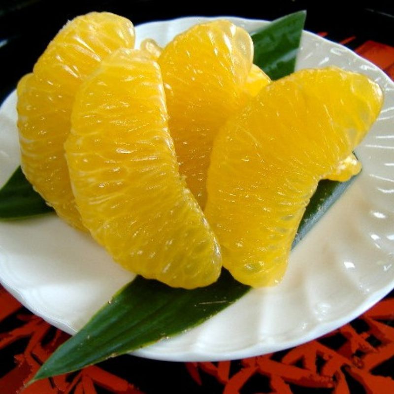 さつき はっさく 約 5kg 〜 約 10kg 秀品 or 訳あり / 八朔 フルーツ 果物 くだもの 食品 人気 おすすめ 送料無料 ※2027年3月下旬から4月下旬に順次発送