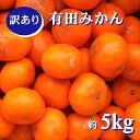 紀州有田みかん 約5kg 訳あり キズ 御家庭用 サイズ混合※2024年11月下旬～2025年1月中旬頃順次発送予定 ※北海道・沖縄・離島配送不可 / みかん 蜜柑 柑橘 果物 くだもの 果実 フルーツ 国産 和歌山 有田 //mandarin