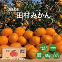 【ふるさと納税】湯浅産 田村みかん 10kg (サイズおまかせ) ※2023年11月20日～2024年1月20日頃順次発送予定 ※北海道 沖縄 離島への配送不可 / みかん 温州 柑橘 蜜柑 くだもの 果物 果実 フルーツ 和歌山 有田 //mandarin