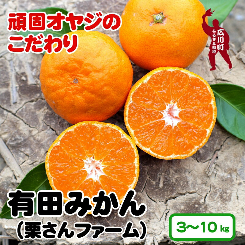 有田みかん 頑固オヤジのこだわりみかん ※2024年11月中旬〜2025年1月上旬頃より順次発送予定 / 和歌山 広川町 有田みかん みかん ミカン 蜜柑 柑橘 果物 フルーツ 甘い 予約 先行予約 //mandarin