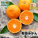 【ふるさと納税】 有田みかん 3kg 5kg 10kg 頑固オヤジのこだわりみかん ※11月中旬〜1月上旬頃より順次発送予定 / 温州みかん みかん 訳あり わ...
