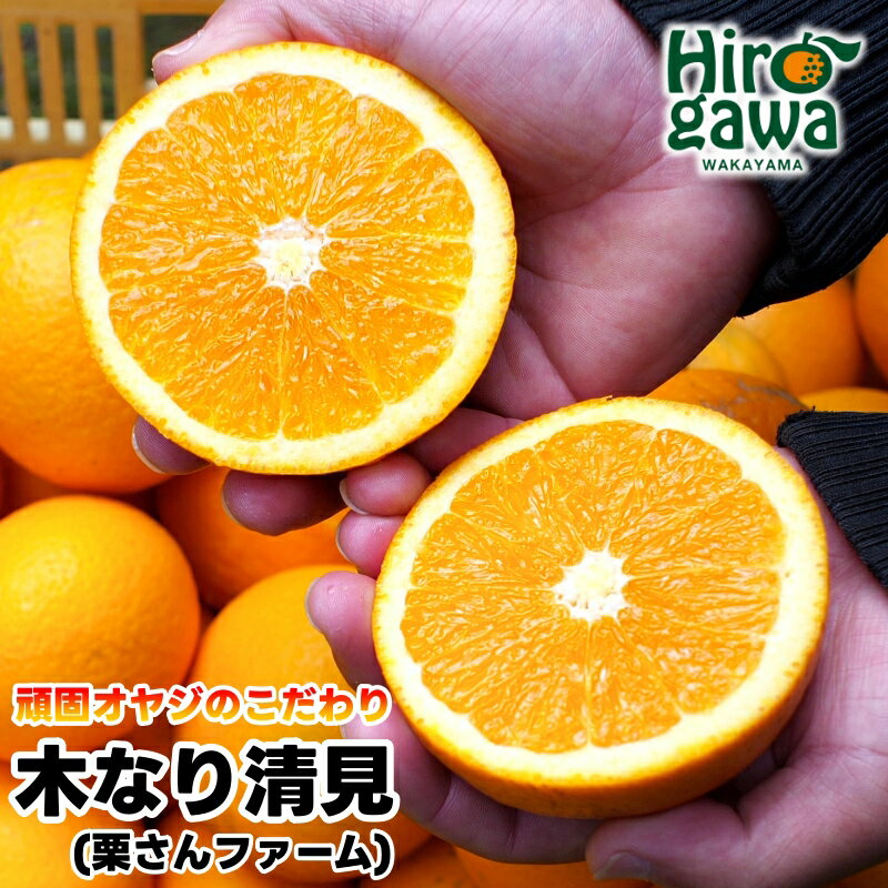 【ふるさと納税】木なり清見オレンジ...