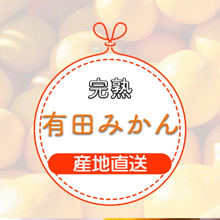 【ふるさと納税】【樹上完熟】和歌山県産 有田みかん (S・M・Lのいずれか) ※2024年11月中旬〜2025年1月中旬頃に順次発送予定 / ミカン 蜜柑 柑橘 果物 フルーツ 国産 和歌山県 有田 //mandarin