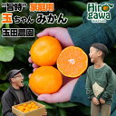 【ふるさと納税】 有田みかん 旨時 体に優しい玉ちゃんみかん / 温州みかん みかん 甘い 和歌山 柑橘 2kg 5kg 10kg 7000円 ※12月初旬~翌年2月中旬に順次発送 //mandarin