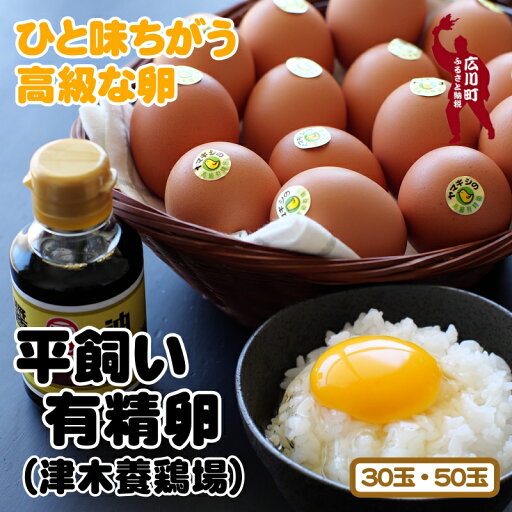 【ふるさと納税】 卵 平飼い高級 有精卵 (Lサイズ) / 平飼い 鶏卵 高級卵 高級食材 玉子 たまご ギフト 贈答 贈り物 高級 贈答卵 プレミアム 食品 //vegi 【ふるさと納税】 卵 平飼い高級 有精卵 (Lサイズ) / 平飼い 鶏卵 高級卵 高級食材 玉子 たまご ギフト 贈答 贈り物 高級 贈答卵 プレミアム 食品 //vegi