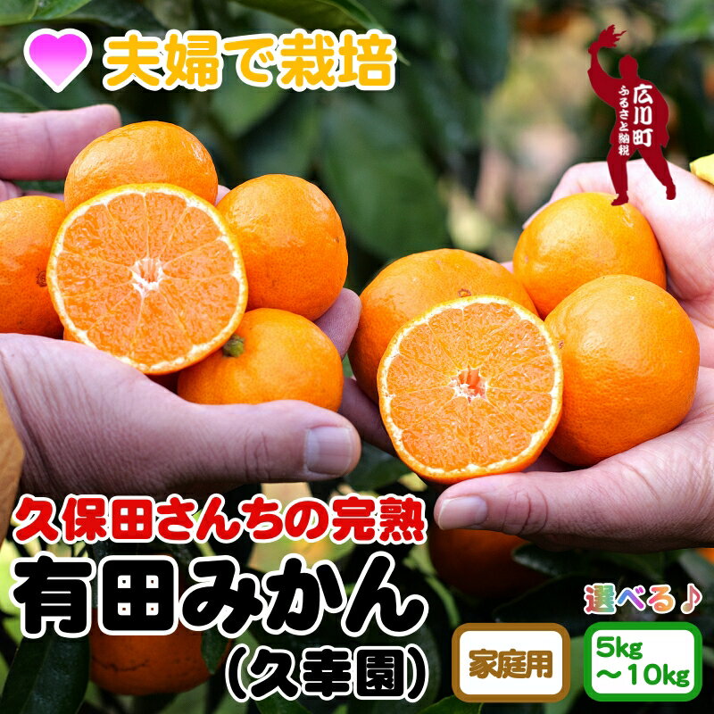 【ふるさと納税】 完熟 有田みかん 訳あり 家庭用 5kg 10kg 8000円 13000円 久幸園 ※11月より順次発送予定 / 温州みかん みかん 訳あり わけあり 家庭用 完熟 フルーツ 柑橘 濃厚 甘い 甘味 果汁 旬 秋 おすすめ 本場 和歌山 有田 広川 ホンマモン //mandarinのサムネイル