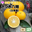 久幸園 さつき八朔　※2024年4月上旬〜順次発送予定 / はっさく 八朔 みかん ミカン 蜜柑 柑橘類 果物 くだもの フルーツ 送料無料 国産 和歌山県広川町 //hassaku //best