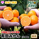 【ふるさと納税】 完熟 有田みかん 2kg 5kg 7kg 10kg サイズ混合 久幸園 ※11月より順次発送予定 / 温州みかん みかん 完熟 フルーツ 柑橘 濃厚 甘い 甘味 果汁 旬 秋 おすすめ 本場 和歌山 有田 広川 ホンマモン //mandarin(4)