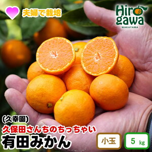 【ふるさと納税】 ちっちゃい 有田 みかん 久幸園 / 温州みかん 有田みかん 甘い 小玉 和歌山 柑橘 5kg ※11月下旬〜順次発送 //mandarin