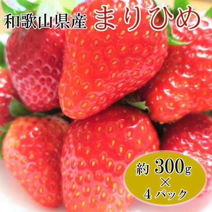 【予約】和歌山県産ブランドいちご「まりひめ」約300g×4パック入り ※2025年3月上旬～3月下旬頃に順次発送予定 ※北海道・沖縄・離島への配送不可 / 果物 フルーツ くだもの イチゴ 苺 オリジナル 産地直送 //hokaf