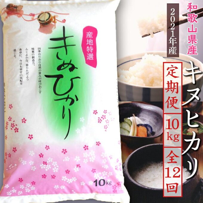 【ふるさと納税】【定期便・全12回】和歌山県産キヌヒカリ(2021年産) ≪10kg 令和3年産 きぬひかり 米 お米 白米≫